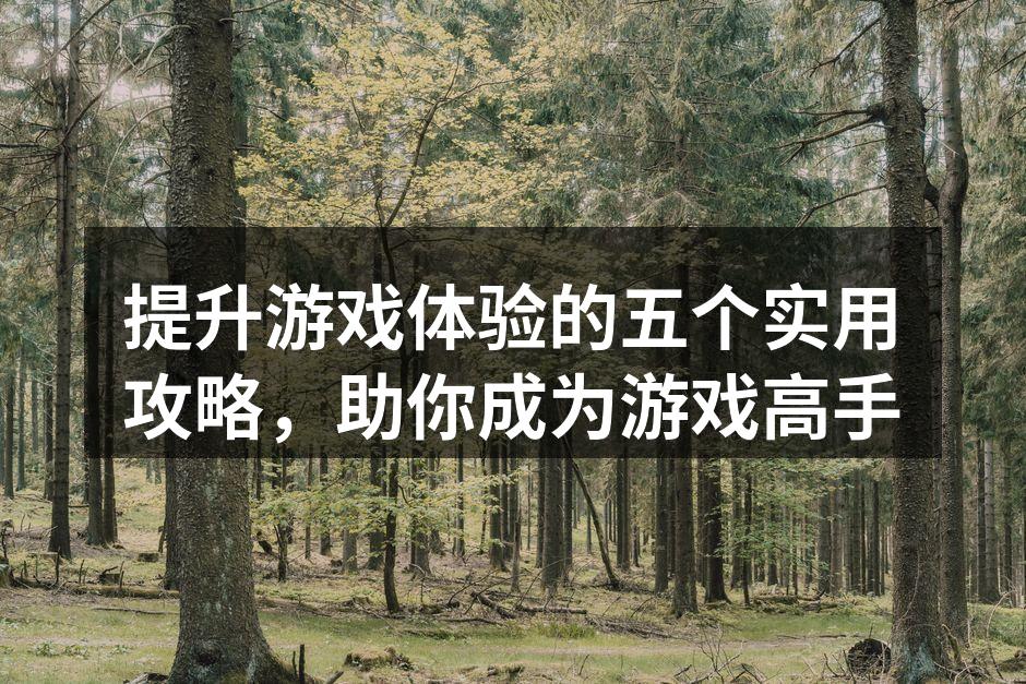 提升游戏体验的五个实用攻略，助你成为游戏高手