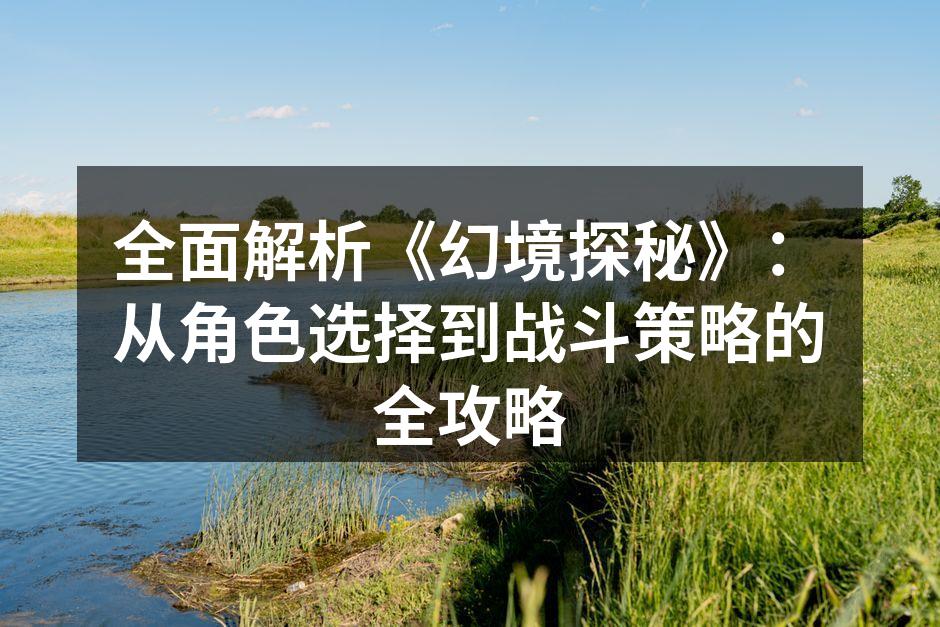 全面解析《幻境探秘》：从角色选择到战斗策