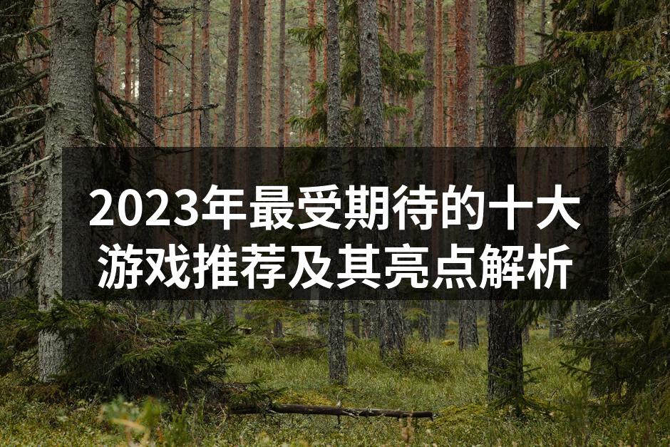 2023年最受期待的十大游戏推荐及其亮点解析